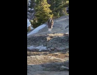 Guys film music video on mountain top