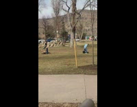 (DUPLICATE) Two men copy acrobatics of couple park part 1