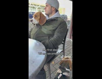 Dog sit on the ground while the other is inside owners jacket