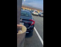 Man shows two huge dildos parking lot