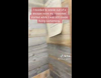 Woman escapes room and no one notices 