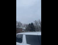 Woman shows massive geese flock migrating