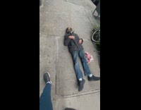 Man and dog walks at street saw man lay on ground