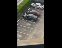 Woman green hair ring light tripod pictorial parking lot