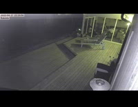 Cat run towards house fail jump security footage