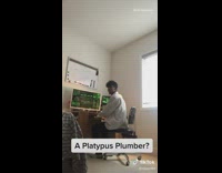 Phineas and Ferb perry the platypus disguise 