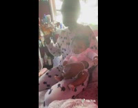 Flip switch mom baby liquor bottle 