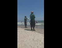 Park Security warns to get people out of the water