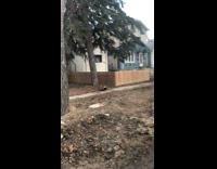 Skunk plastic cup stuck on its head