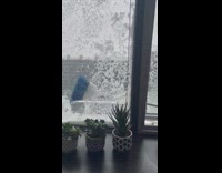 Guy uses broom to scrape ice window 