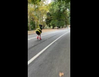 Collab WINY - Woman wears bee costume skates at park