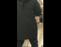 White bird moves head and dances to man singing karaoke on subway train