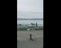 two guys lay together fence lake