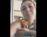 Orange and red bird sleeps on hand