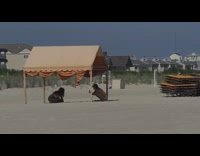 White bikini girl orange canopy beach sand