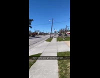 Black broom head looks like fake eyelash 