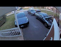 Cat closes the hood of the car