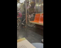 man with giant teddy bear on bike