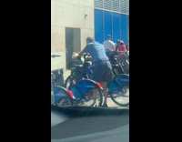Man places dog in the bicycle basket