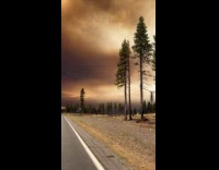 Man passing by wild fire