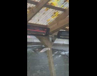 Opossums Sneak and Walk on Restaurant Roofs