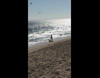 man rolls down sand towards beach
