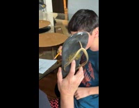 Collab ClipsIG - Kid scolded for not wanting to do homework 