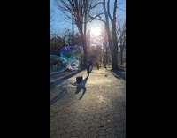 Man blows bubbles feeds squirrel at park