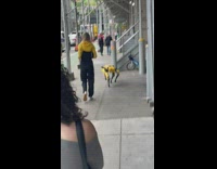 Yellow delivery drone robot walking on the sidewalk 

