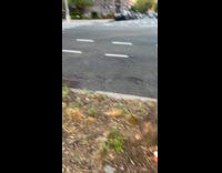 Collab winy - Fruits apple egg and garlic beside tree