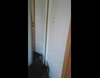 Black cat stand wants to grab door stopper