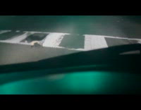 Skunk face stuck in cup cross road