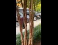 Collab WeirdM - Man run away then chased by two men