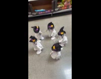 Ghost toys in circle twerks on floor