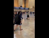 Man pull pair of shoes with wheels