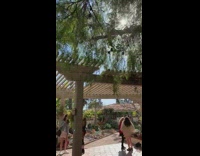 Tourists outdoor garden red jacket succulents trees