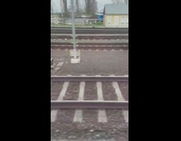 Person on train films railway beside them