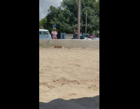 Woman in pink polo front step beside microbus
