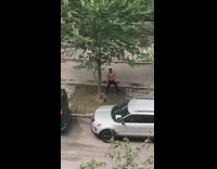 Black hat guy hits stick against tree 