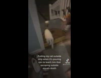 Cat put outside in rain to learn lesson