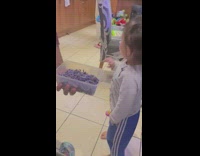 Toddler reacts to cabbage in container