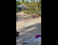 Woman bikini eat popsicle beside tree beach