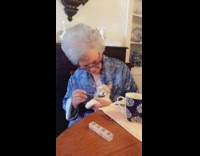 lady in blue giving spoonful of food to white cat