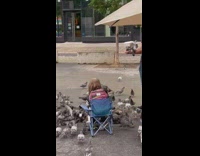 Girl in chair is surrounded by pigeons 