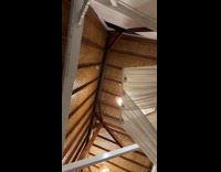 Lizard in cabana on roof