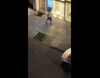 Guys throws bottle with fire at cybertruck 