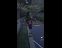 Guy camo jacket basketball makes turkeys in backyard react