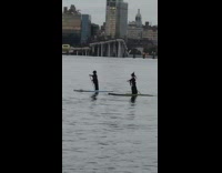Two girls paddle board witch costume river