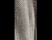 Orange cat stares out window and meows 