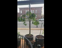 guy one wheel hover board selfie